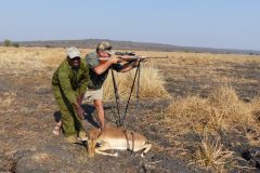 Impala